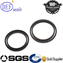 High Quality Customized V Spring Lip Seals